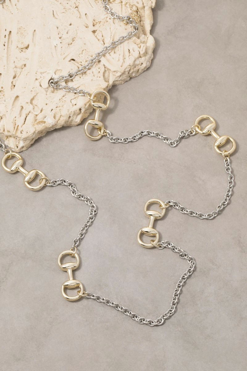Long Two-Tone Horsebit Station Necklace