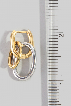 Stainless Steel Two Tone Ring Links Drop Earrings