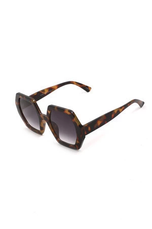 Tortoise Hexagon Sunglasses