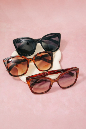 Assorted Oversized Acetate Sunglasses Set