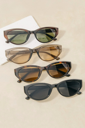 Assorted Acetate Frame Sunglasses