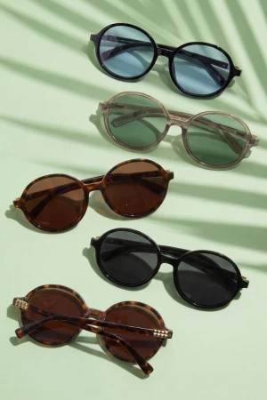 Round Frame Double Bridge Tinted Sunglasses