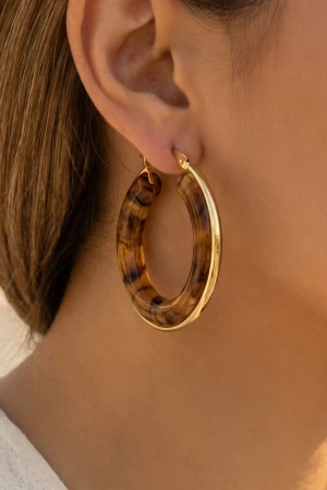 Stainless Steel Edge Acrylic Latch Hoop Earrings