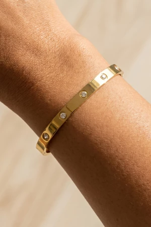 Stainless Steel Bezel Cz Station Bangle
