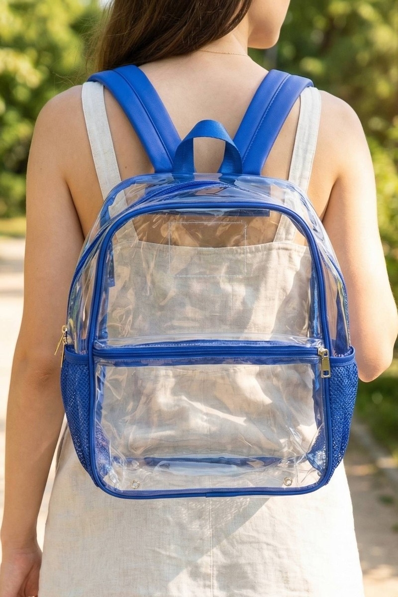 Clear Transparent Large Backpack