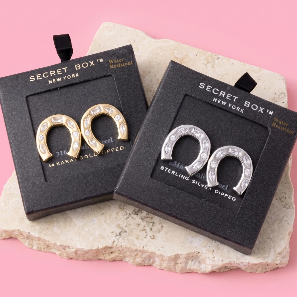 Stainless Steel Horseshoe Stud Earrings With Cz