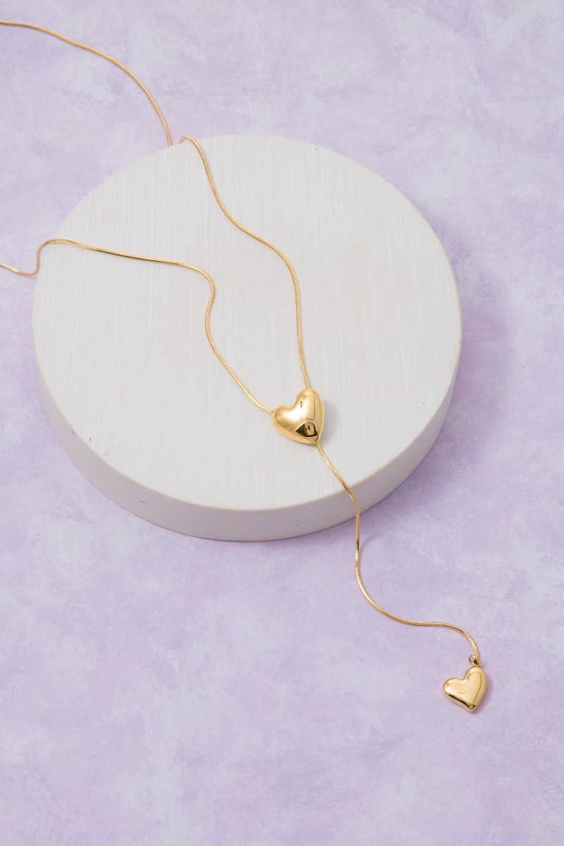 Secret Box Stainless Steel Double Hearts Y Chain Necklace