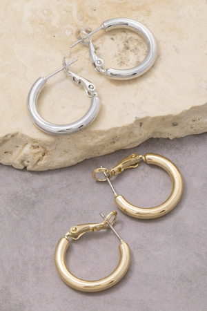 Small Latch Tube Hoop Earrings
