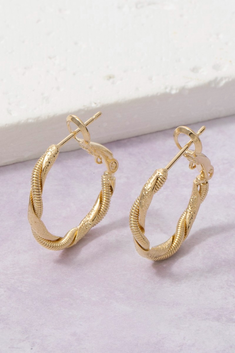 Twisted Double Hoop Earrings