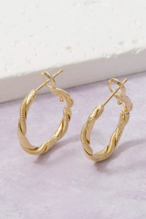 Twisted Double Hoop Earrings