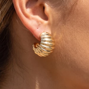 Ribbed Dome Shrimp Hoop Earrings