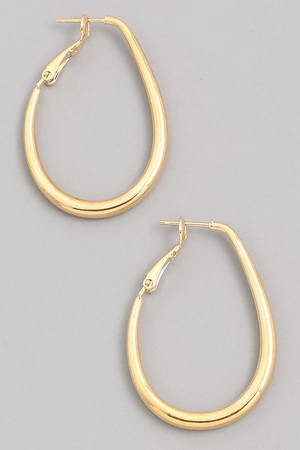 Metallic Hoop Latch Earrings