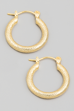 Metallic Circle Pincatch Latch Hoop Earrings