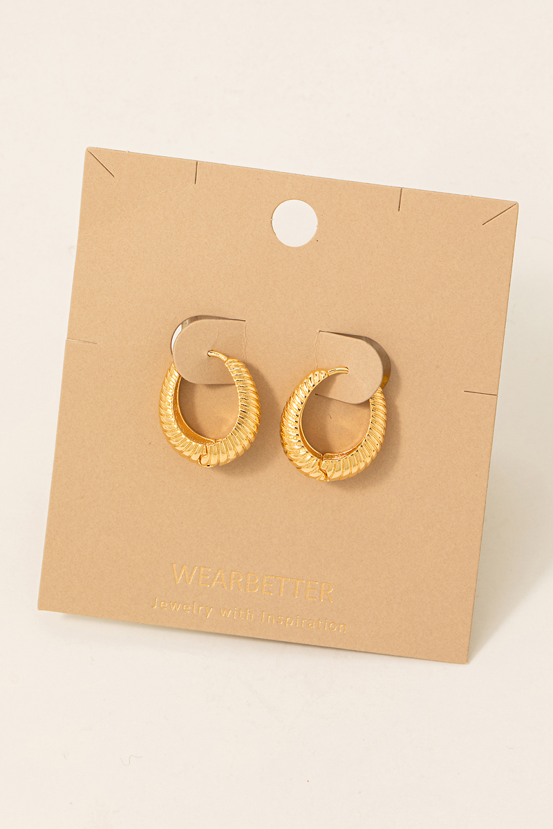 Metallic Braided Oval Latch Hoop Earrings