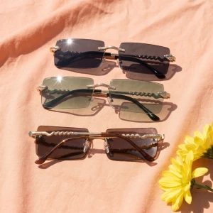 Rimless Rectangle Sunglasses With Panther Accent
