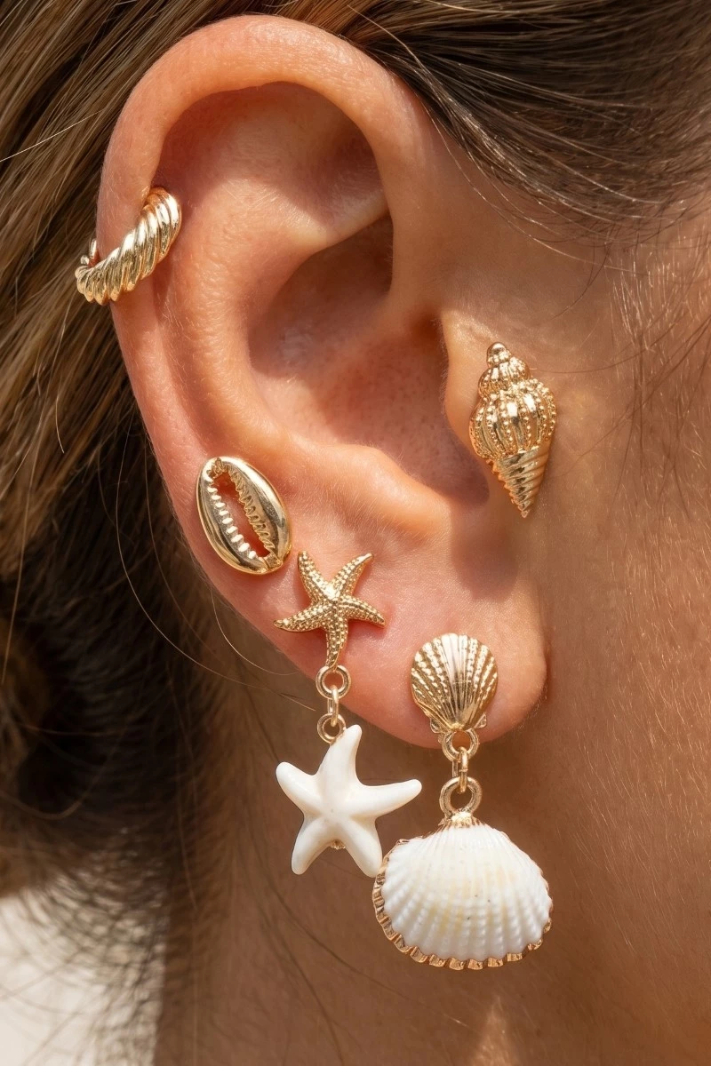 Cowrie And Scallop Shell Earrings Set