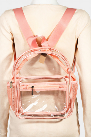 Transparent Backpack