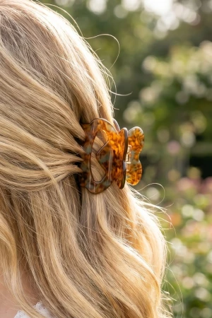 Assorted Small Three Piece Jaw Hair Clip Set