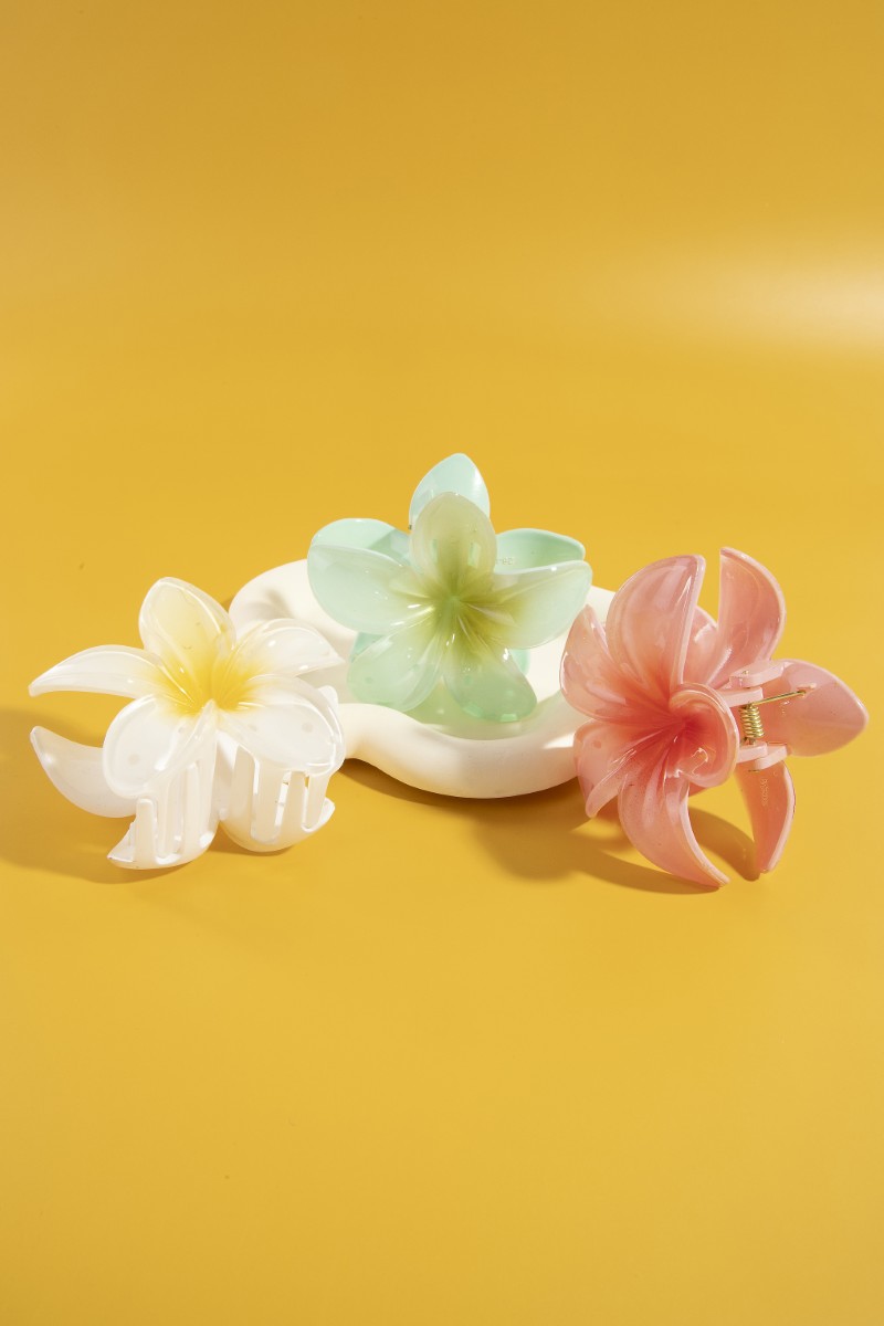 3Pc Large Vibrant Gradient Flower Hair Claw