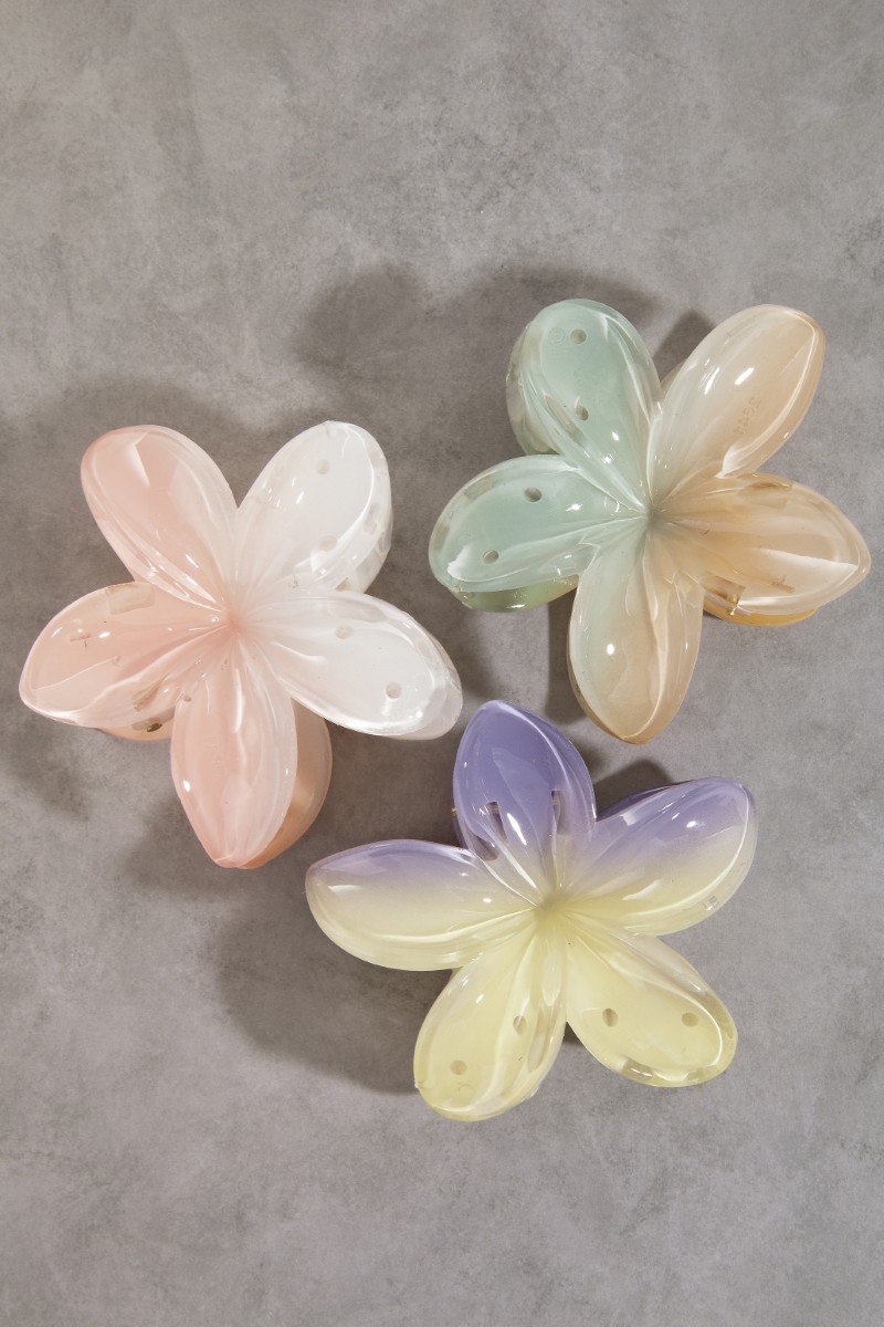 3Pc Large Gradient Flower Hair Claw