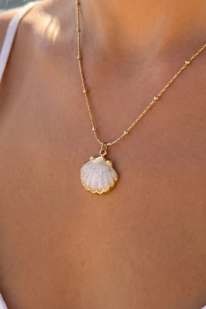 Stainless Steel Scallop Shell Pendant Necklace