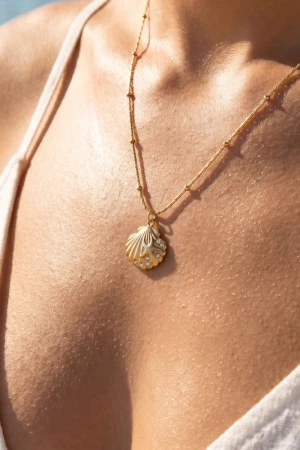Stainless Steel Pave Cz Seashell Necklace