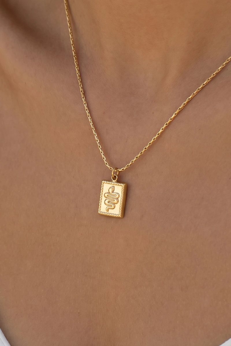 Stainless Steel Serpent Tag Pendant Necklace