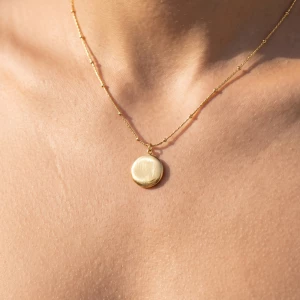 Stainless Steel Brushed Round Disc Necklace