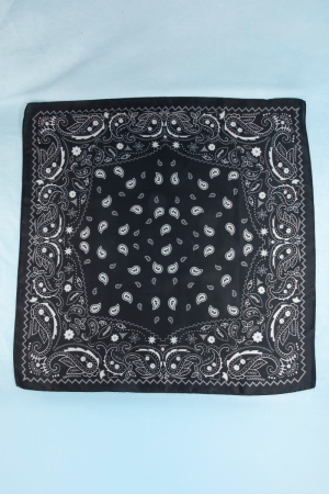 Bandana Paisley Print Satin Square Scarf