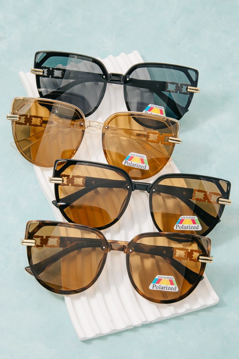 Polarized Cat Eye With Ornate Cutout Temple Sunglasses