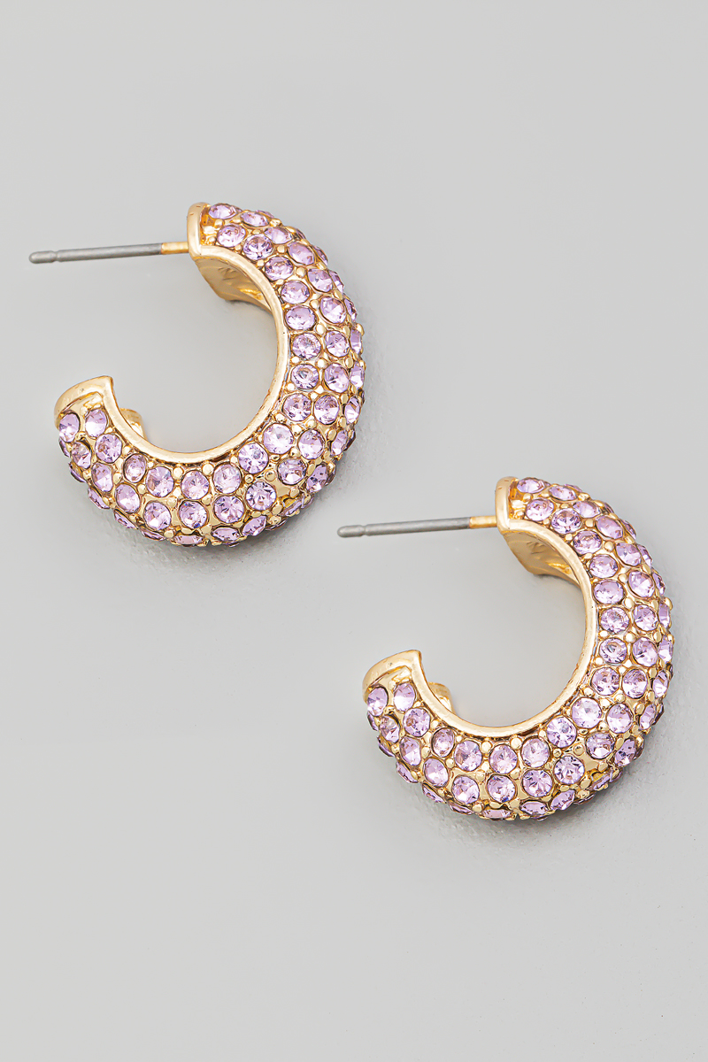 Pave Rhinestone Hoop Earrings