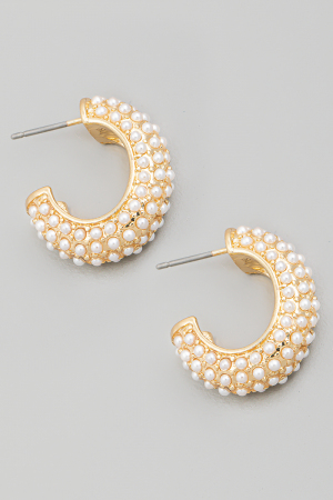 Pave Rhinestone Hoop Earrings