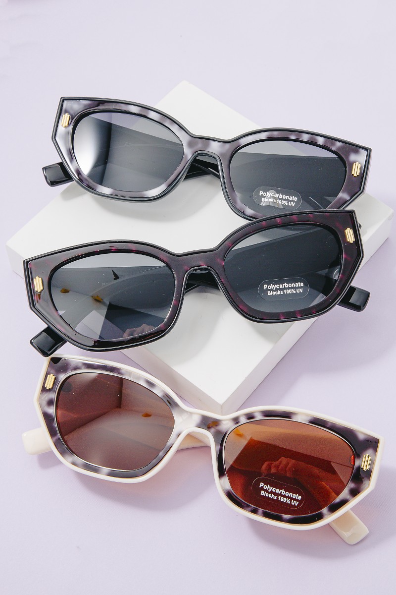 Bordered Tortoise Frame Sunglasses Set