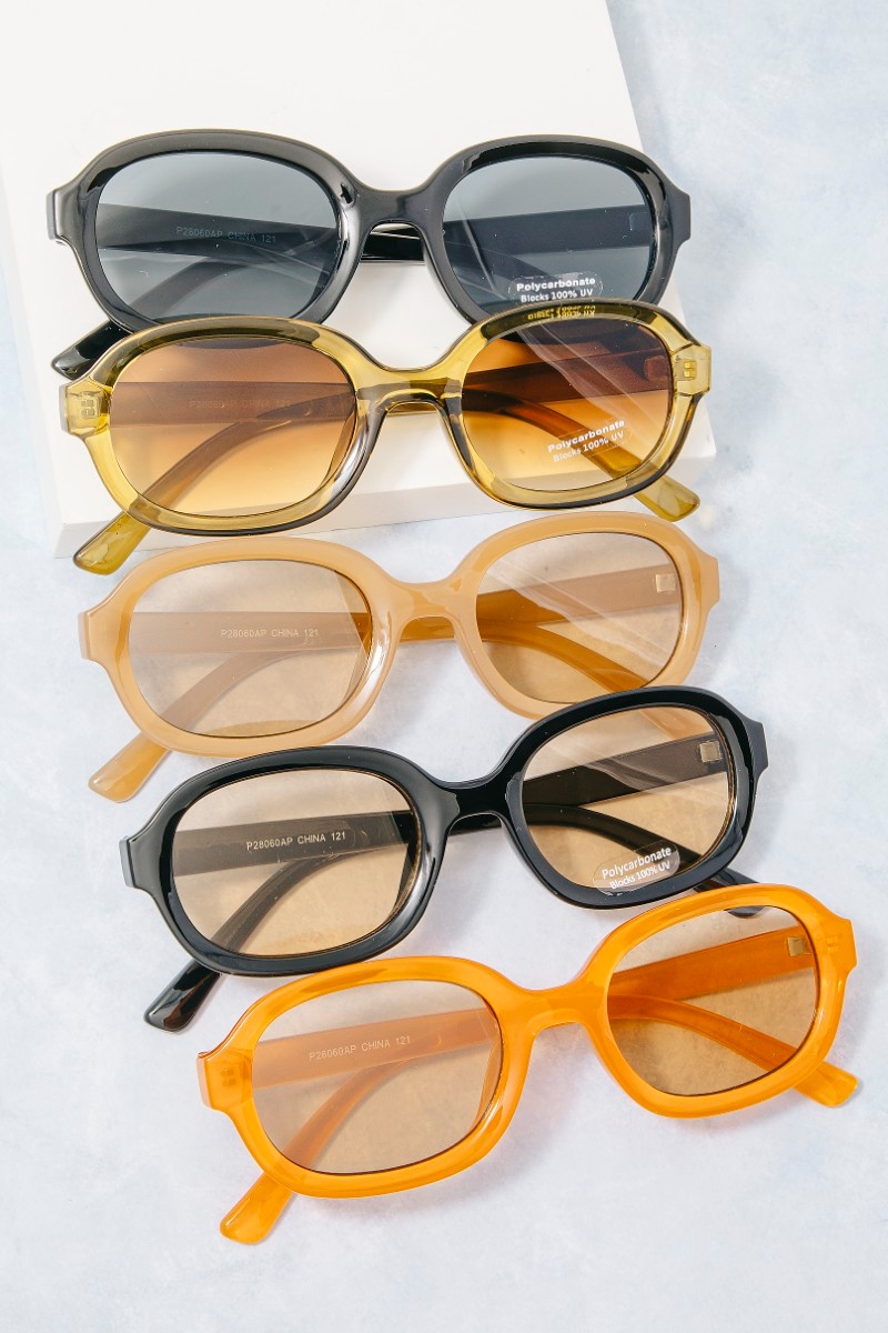 Retro Oval Sunglasses With Chunky Colored Frame