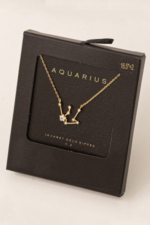 Secret Box Aquarius Constellation Necklace