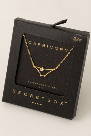 Secret Box Capricorn Constellation Necklace